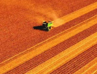 成功上线！北大荒集团携手金蝶开启人力资源数字化新篇章